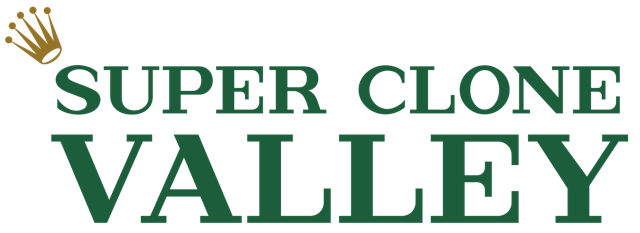 Replica Rolex | Premium Super Clone Watches