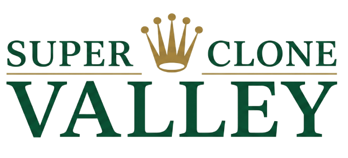 Replica Rolex | Premium Super Clone Watches